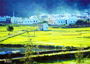 滾輪縮放,點擊查看大圖