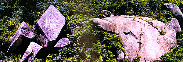 滾輪縮放,點擊查看大圖