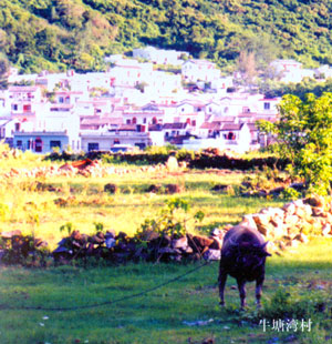 滾輪縮放,點擊查看大圖