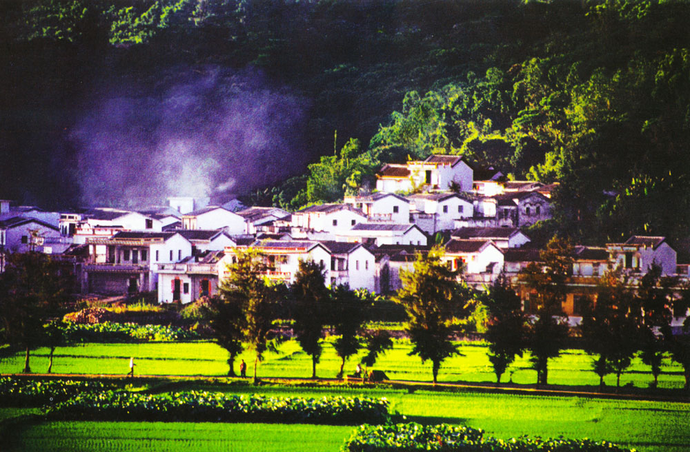 滾輪縮放,點擊查看大圖