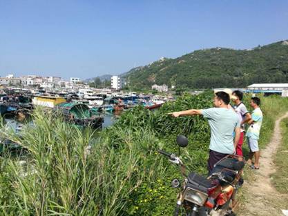 15日上午川島中隊再次深入沙堤避風塘進行再檢查再落實 (2)