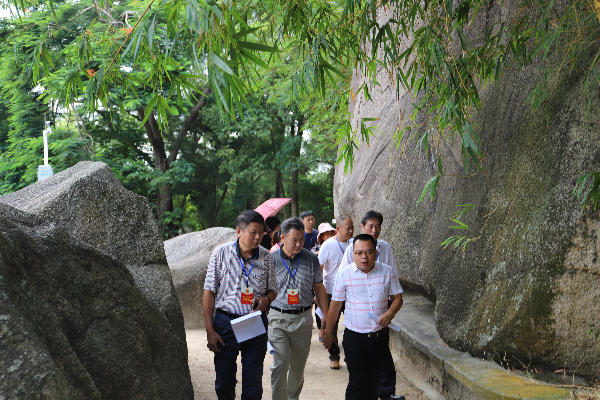 廣海鎮人大旅游文化專業代表小組 開展調研活動3.JPG