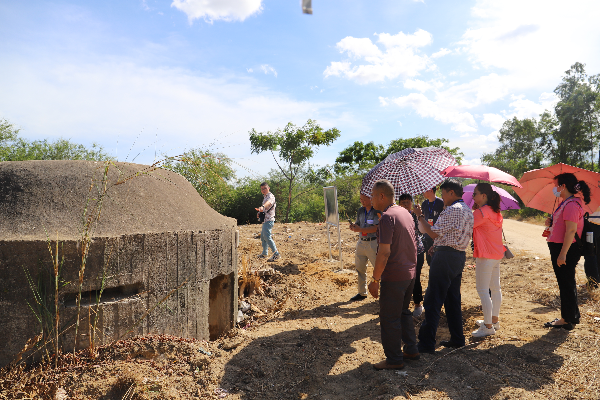 廣海鎮人大旅游文化專業代表小組 開展調研活動4.JPG