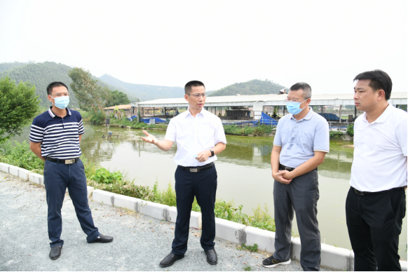 謝少謀督導(dǎo)檢查新昌水流域河長制落實情況534.png