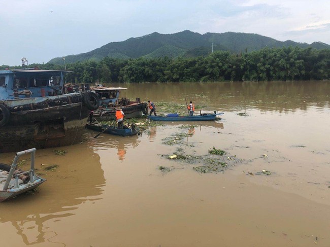 20200530 清理河道水浮蓮1_副本.jpg