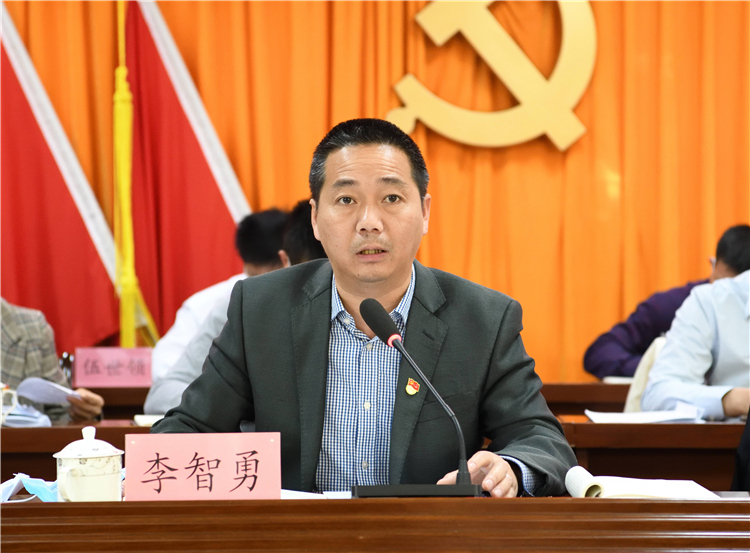 海宴鎮委書記李智勇發言.jpg