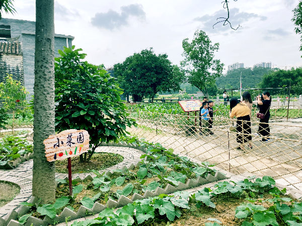 小菜園.jpg
