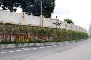 微實(shí)事3：城西庇厚村、龍邊村周邊道路旁增設(shè)綠植、籬笆，美化周邊人居環(huán)境_副本.jpg