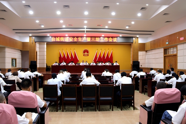 臺城街道安全生產暨三防工作會議 (3)_副本.jpg