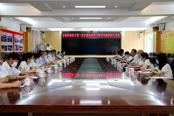 20210812 臺城街道機關第一黨支部召開黨史學習教育專題組織生活會_1