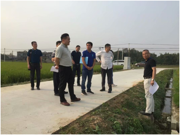 上級領導實地調研水步鎮(zhèn)高標田項目.png