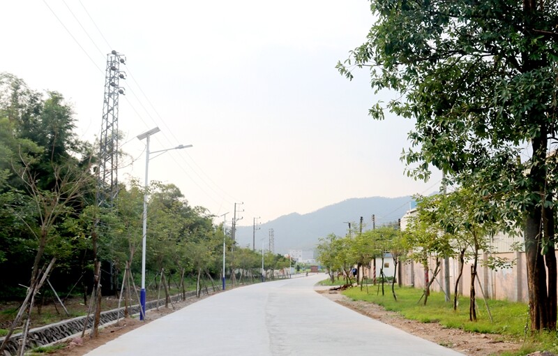 我為群眾辦實(shí)事 樁樁實(shí)事解民憂,臺城街道全面完成10個(gè)“我為群眾辦實(shí)事”項(xiàng)目_4