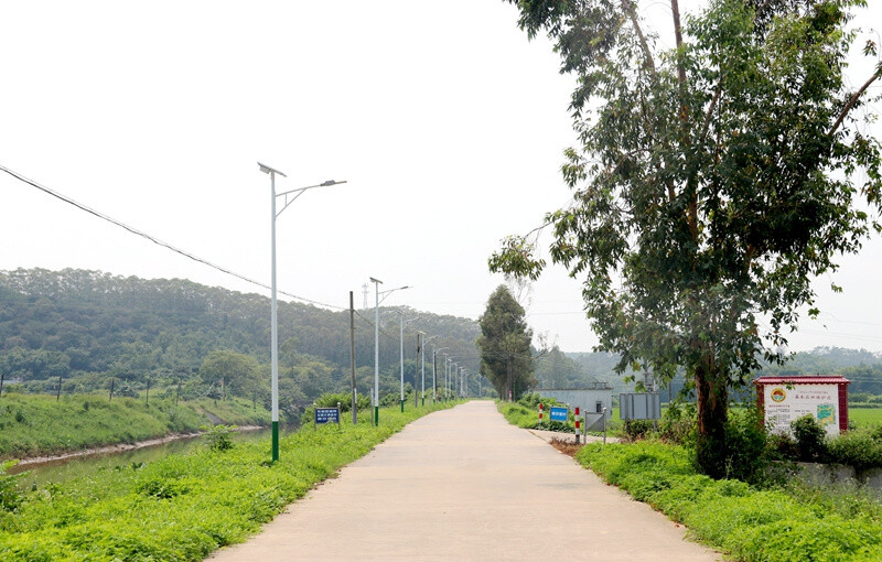 我為群眾辦實(shí)事 樁樁實(shí)事解民憂,臺城街道全面完成10個(gè)“我為群眾辦實(shí)事”項(xiàng)目_7