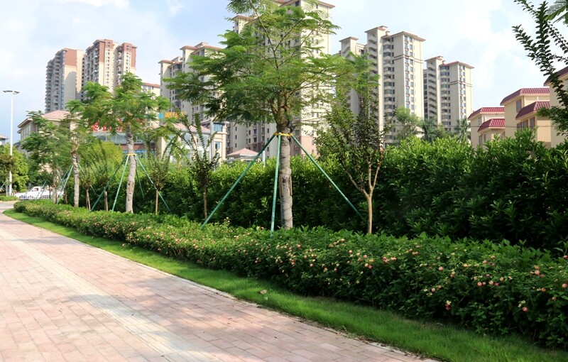 我為群眾辦實(shí)事 樁樁實(shí)事解民憂,臺城街道全面完成10個(gè)“我為群眾辦實(shí)事”項(xiàng)目_9