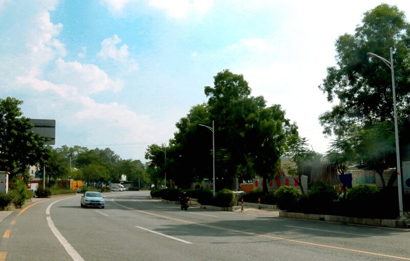 我為群眾辦實事 樁樁實事解民憂，臺城街道全面完成10個“我為群眾辦實事”項目_10