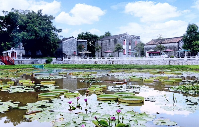 我為群眾辦實事 樁樁實事解民憂，臺城街道全面完成10個“我為群眾辦實事”項目_1