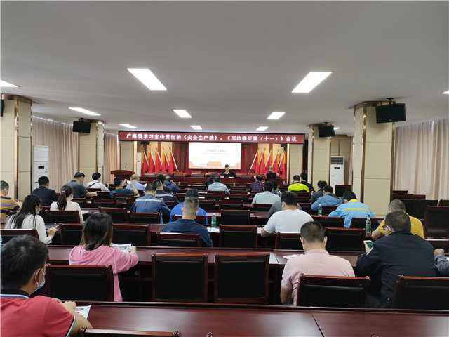 廣海鎮開展學習宣傳貫徹《安全生產法》《刑法修正案（十一）》會議2.jpg