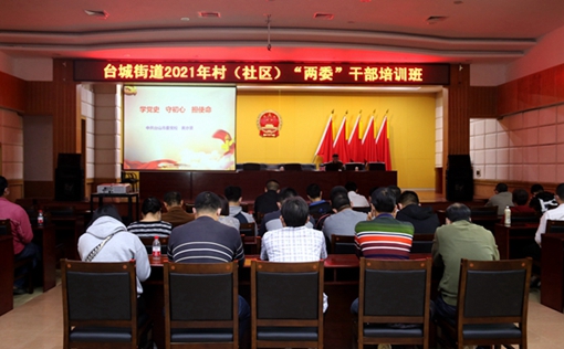 臺城街道2021年村(社區)“兩委”干部培訓班.JPG