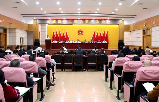 忠誠擔當有作為，為民履職守初心：臺城街道人大亮出2021年度工作答卷_5