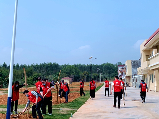 20210312 臺城街道植樹活動（臺城街道團工委“美麗臺城&middot;青春行動”植樹志愿服務活動2.jpg