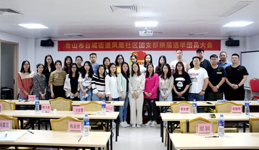 臺城街道鳳凰社區團支部換屆選舉團員大會_副本.jpg
