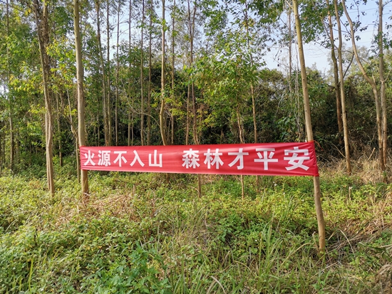 各村（居）在轄區山林掛上防火橫幅.jpg
