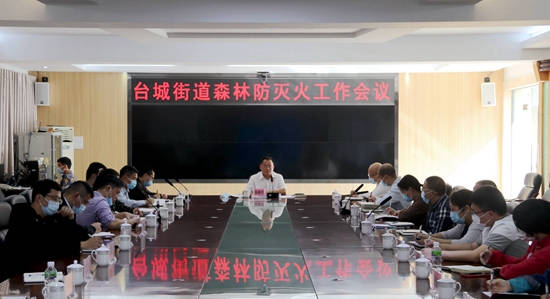 IMG_4894_副本 臺城街道森林防滅火工作會議.jpg