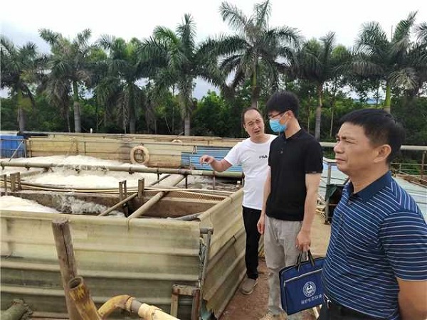 廣海鎮開展企業環境保護整改督導檢查-改2.jpg