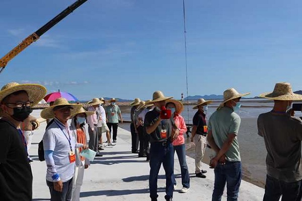 廣海鎮人大農業農村專業代表小組 發揮專業優勢提升履職效能4.JPG