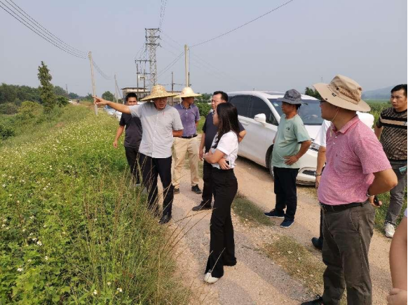 河長制簡報202212 臺山市開平市開展白沙水流域聯合檢查行動226.png