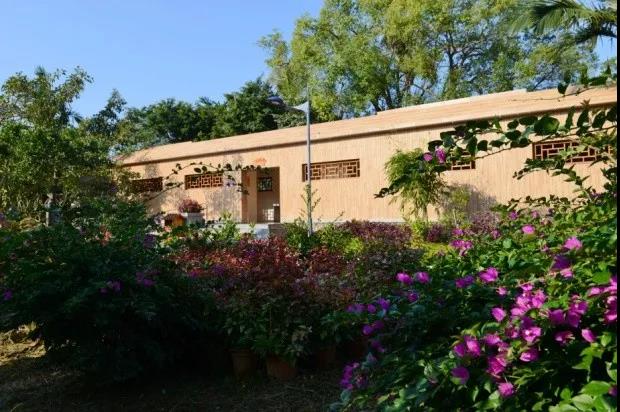 上川飛沙灘旅游廁所 (臺(tái)山市文化廣電旅游體育局供圖).jpg