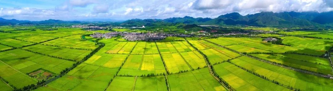 臺(tái)山中國農(nóng)業(yè)公園(李駒榮 攝).jpg