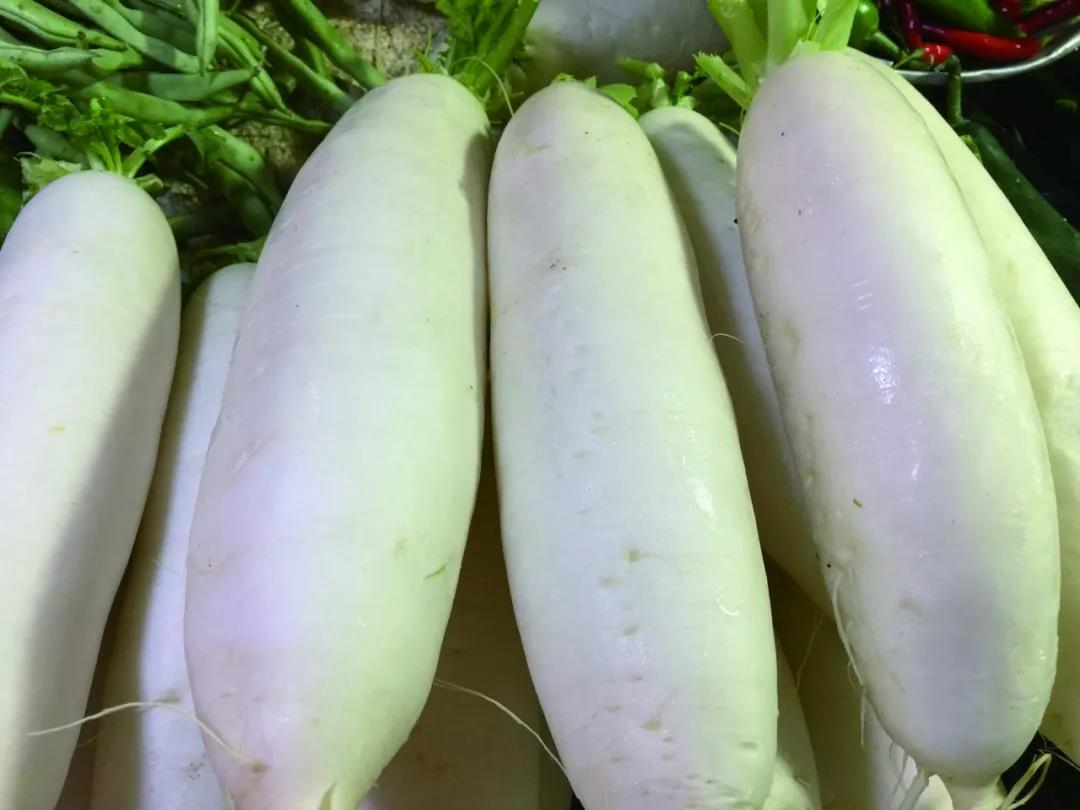 圓大、嫩白的臺山蘿卜（臺山市地方志辦公室供圖）.jpg