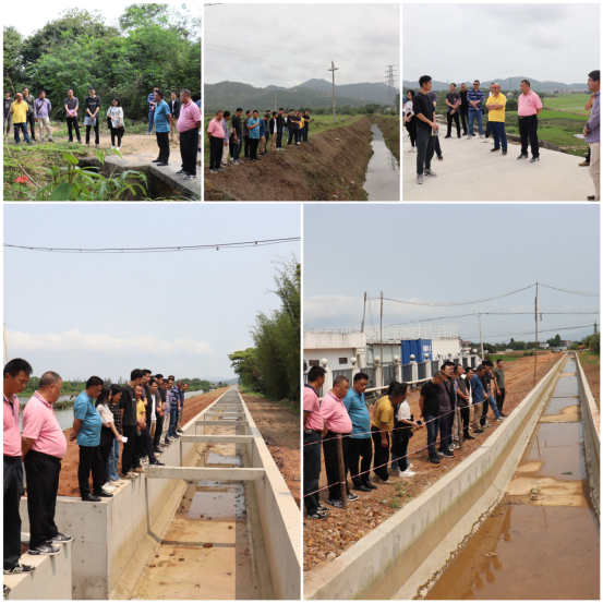 交叉檢查提質效 交流互鑒共提升296.png