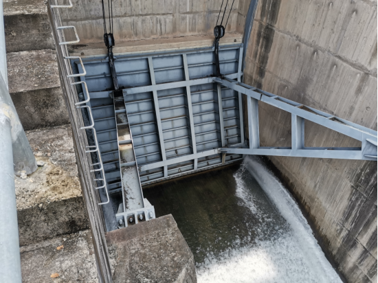 全速行動  全力應戰  市水利局做實做細防臺抗臺準備886.png