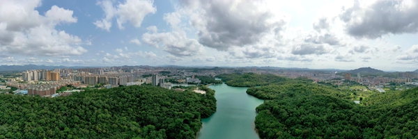 3.綠擁臺城+陳健科 13794271114.JPG