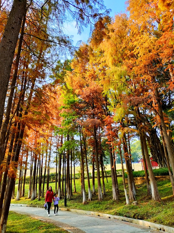 10.溫立忠 - “醉美”石化湖 - 18128299696 (9).jpg