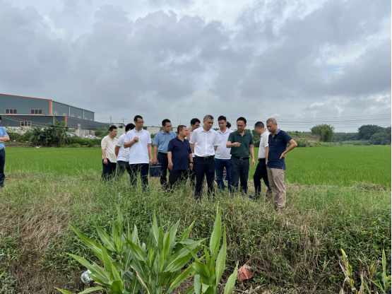 楊劍文在公益水水質達標攻堅工作推進會上強調 提高政治站位 狠抓任務落實 強化聯動機制 確保公益水流域水質穩定達標256.png