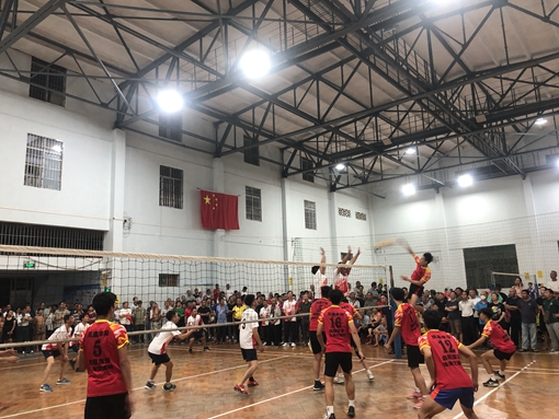 11.6排球賽2_副本.jpg