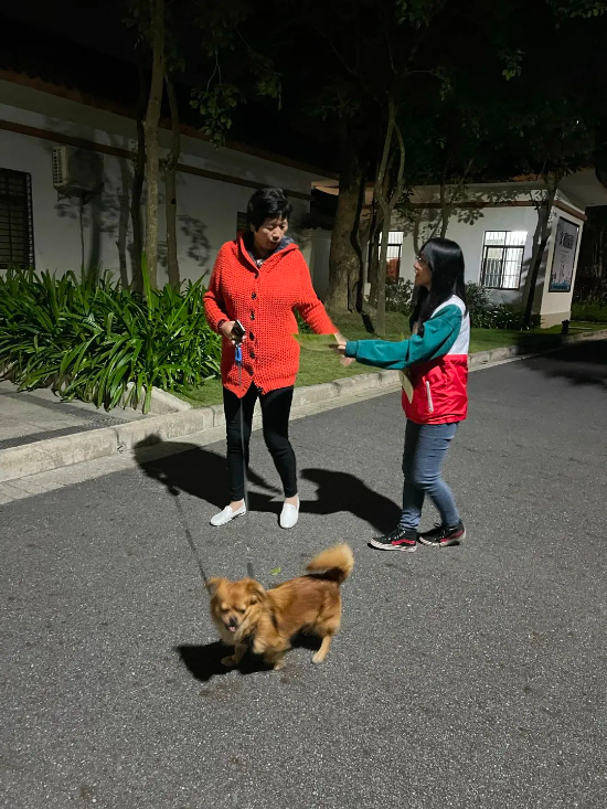 pexels-photo-3985166.jpeg 圖片