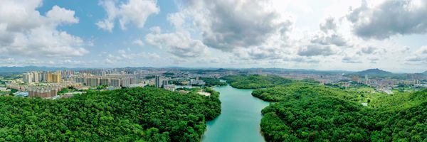 (修)綠擁臺城 陳健科_副本.jpg