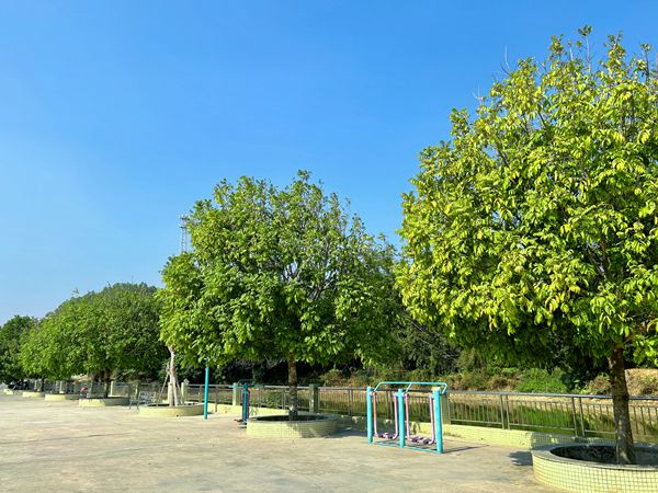 修 禮邊_副本.jpg