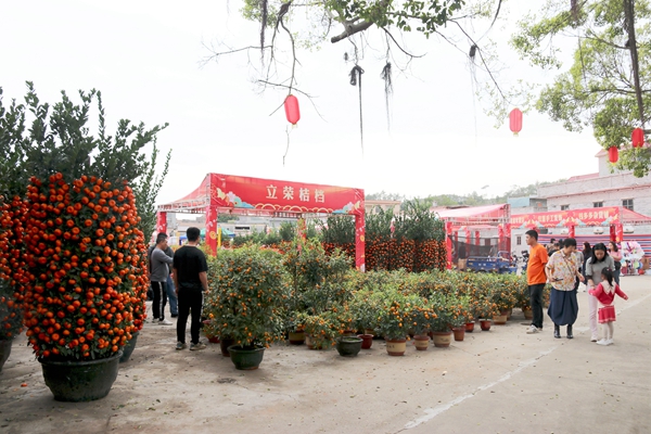 逛花街 IMG_2373_副本_副本.jpg