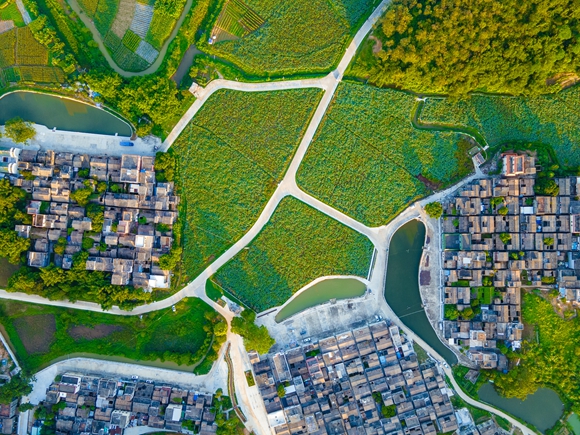 桂水村大圖-門通斜徑連芳碧-李彥雨 攝(1).jpg
