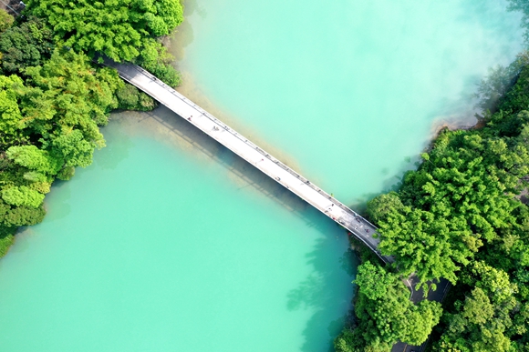 城市綠肺 34.梁寶慈 18575015339_副本.jpg