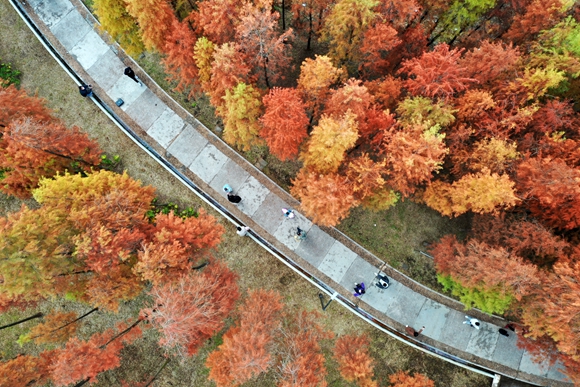 醉美石花山組圖 7.陳健科 13794271114_副本.jpg