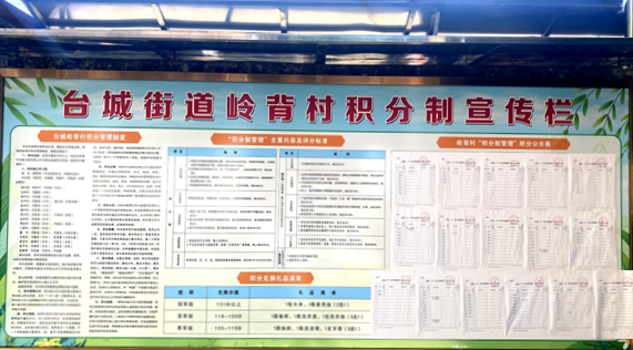 嶺背村積分制宣傳欄 (1)(1).jpg