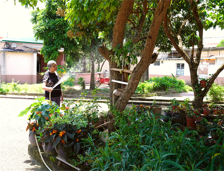 《快樂奶奶的小花園》陳穎拍攝 地點(diǎn)：五豐村 (1)(1).jpg
