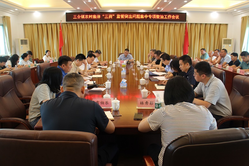 三合鎮農村集體“三資”監管突出問題集中專項整治工作會議.JPG