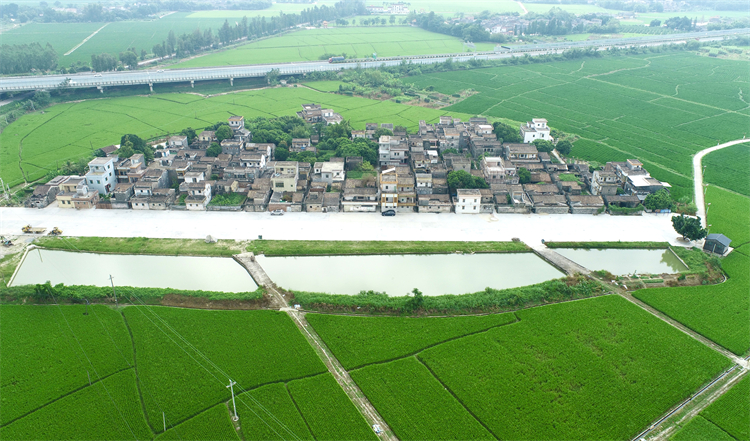 嶺橋村建設后( 俯瞰圖).jpg